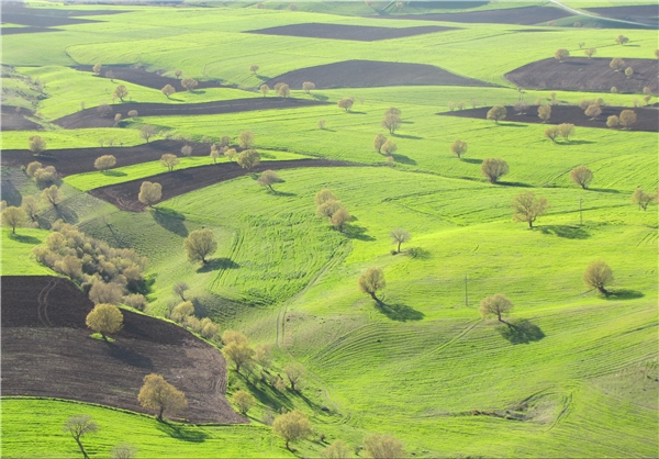 عکس طبیعت