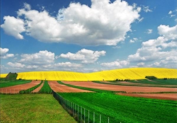 عکس طبیعت