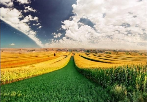 عکس طبیعت