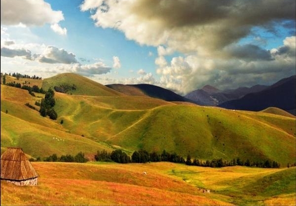 عکس طبیعت