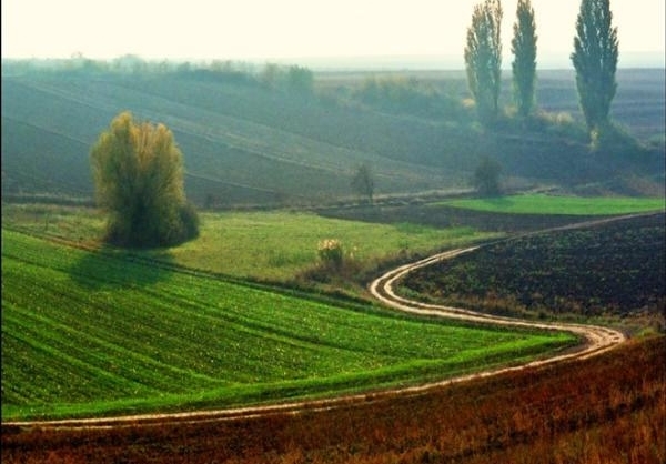 عکس طبیعت