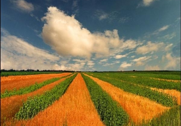 عکس طبیعت