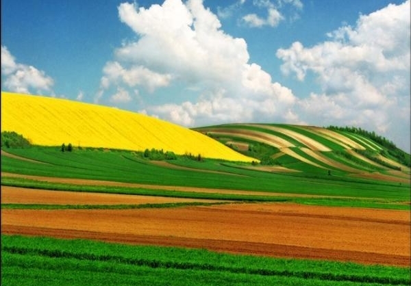 عکس طبیعت