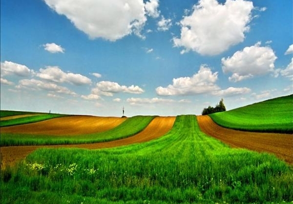 عکس طبیعت