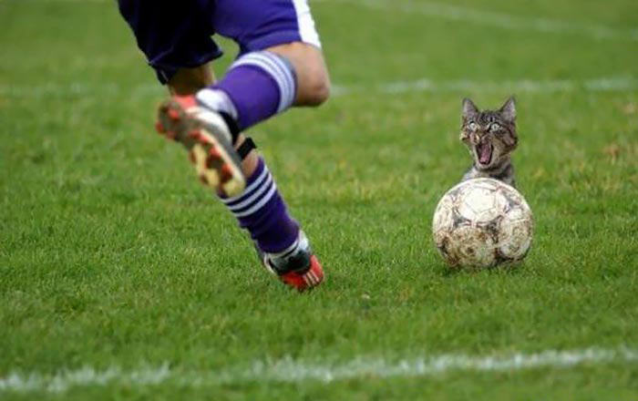 [عکس: Funny_Pictures_010.jpg]