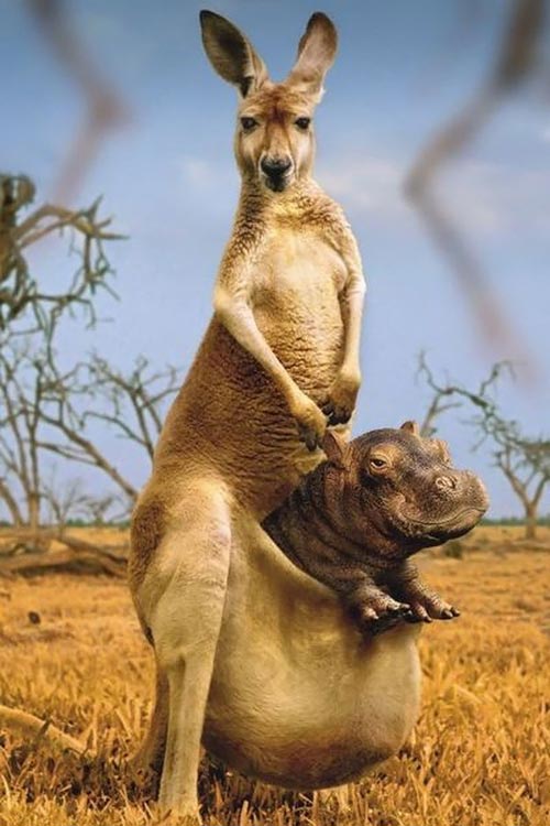 [عکس: Funny_Pictures_017.jpg]