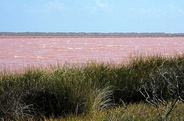 استرالیا، Hutt Lagoon