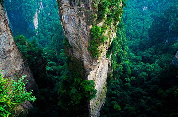 چین، Zhangjiajie National Forest Park