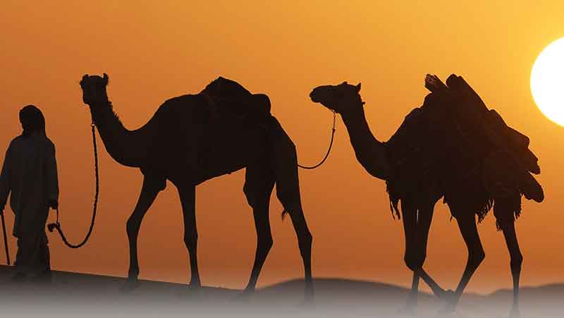 راهنمای سفر به دبی و امارات