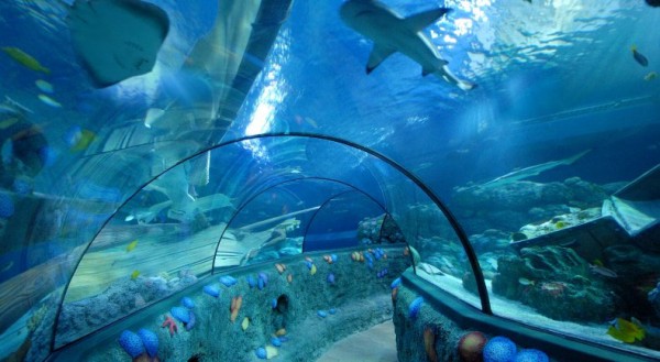 بهترین پارک های تفریحی جهان,gardaland-600x329