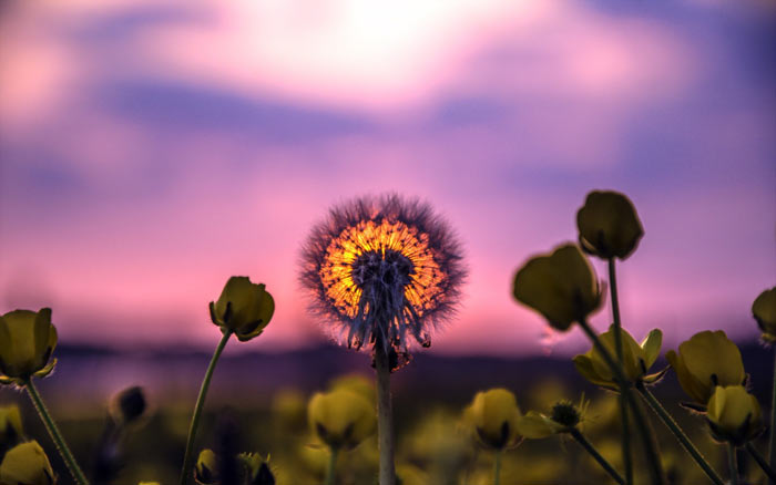 SunSet 011 عکس طلوع و غروب خورشید