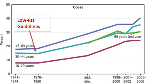 تحقیق در مورد رژیم غذایی,diet-charts10