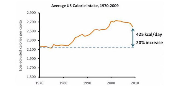 تحقیق در مورد رژیم غذایی,diet-charts3