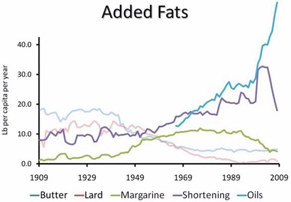 تحقیق در مورد رژیم غذایی,diet-charts4