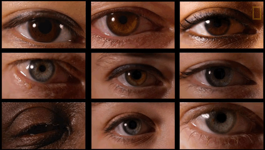 eye