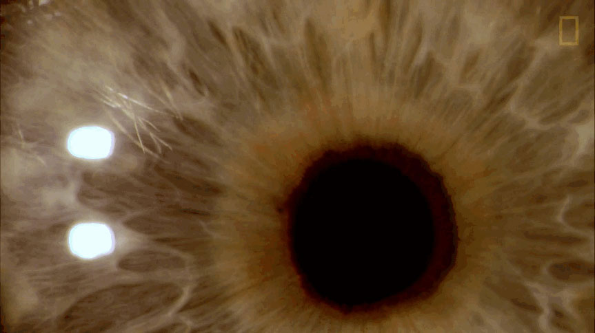 eye3
