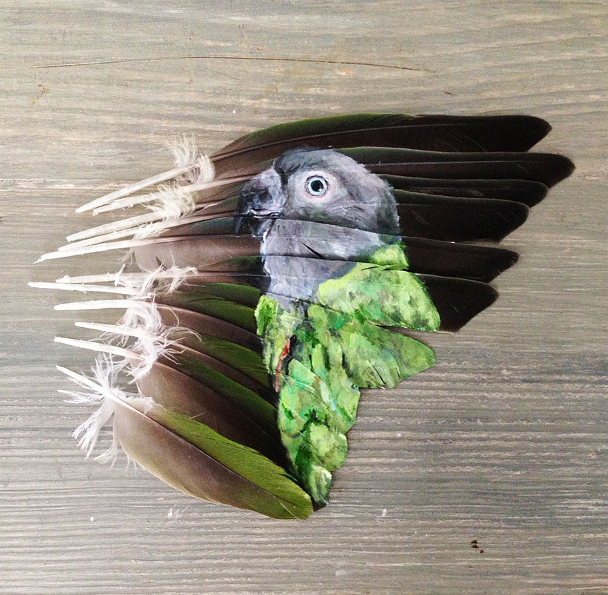 feather-paintings7