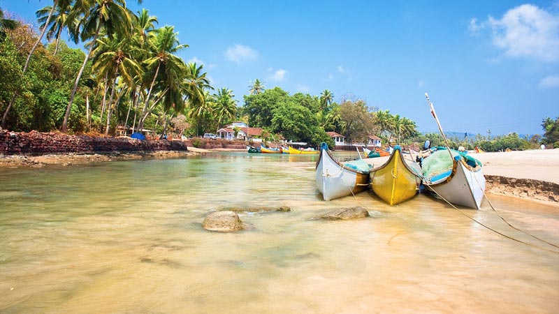 سواحل گوا goa-beach