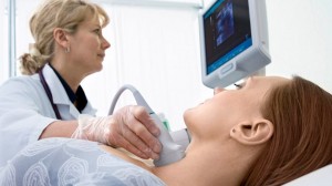 thyroid
