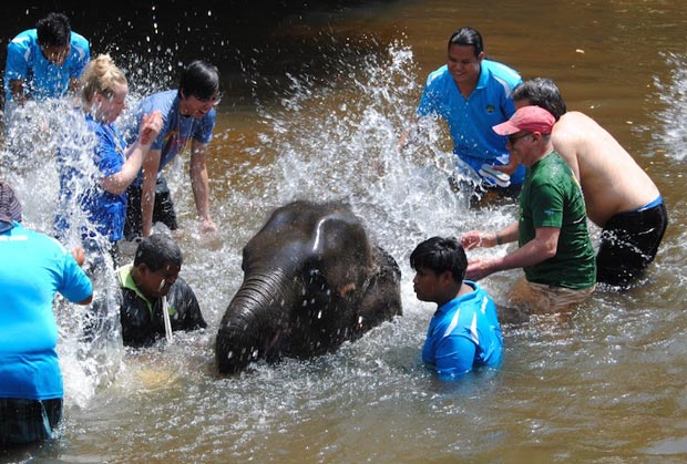جاهای دیدنی کوالالامپور,پناهگاه فیل کوالاگاندا-kuala_gandah_elephant_sanctuary