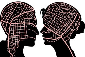 male and female brains