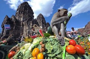 برگزاری جشنی عجیب برای میمون ها در تایلند