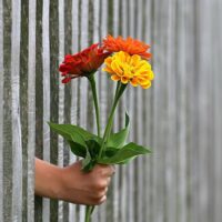 متن عاشقانه خاص کوتاه و بلند و زیبا برای همسر و عشقم