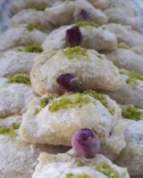 قطاب یزدی