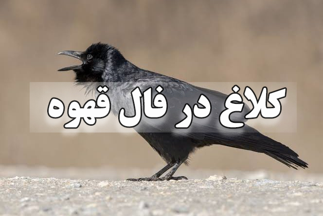 کلاغ در فال قهوه