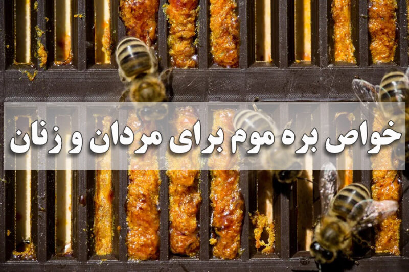 خواص بره موم برای مردان و زنان