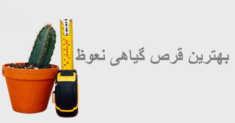 بهترین قرص گیاهی نعوظ 