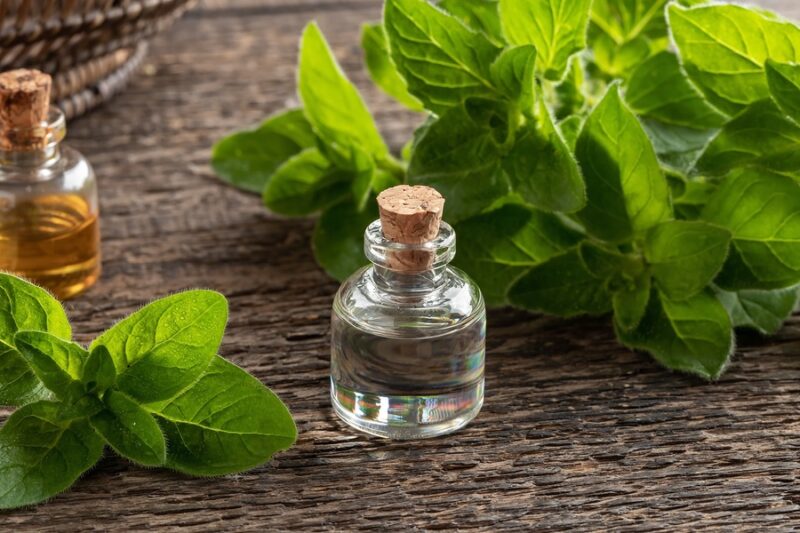 خواص پونه کوهی برای عفونت رحم