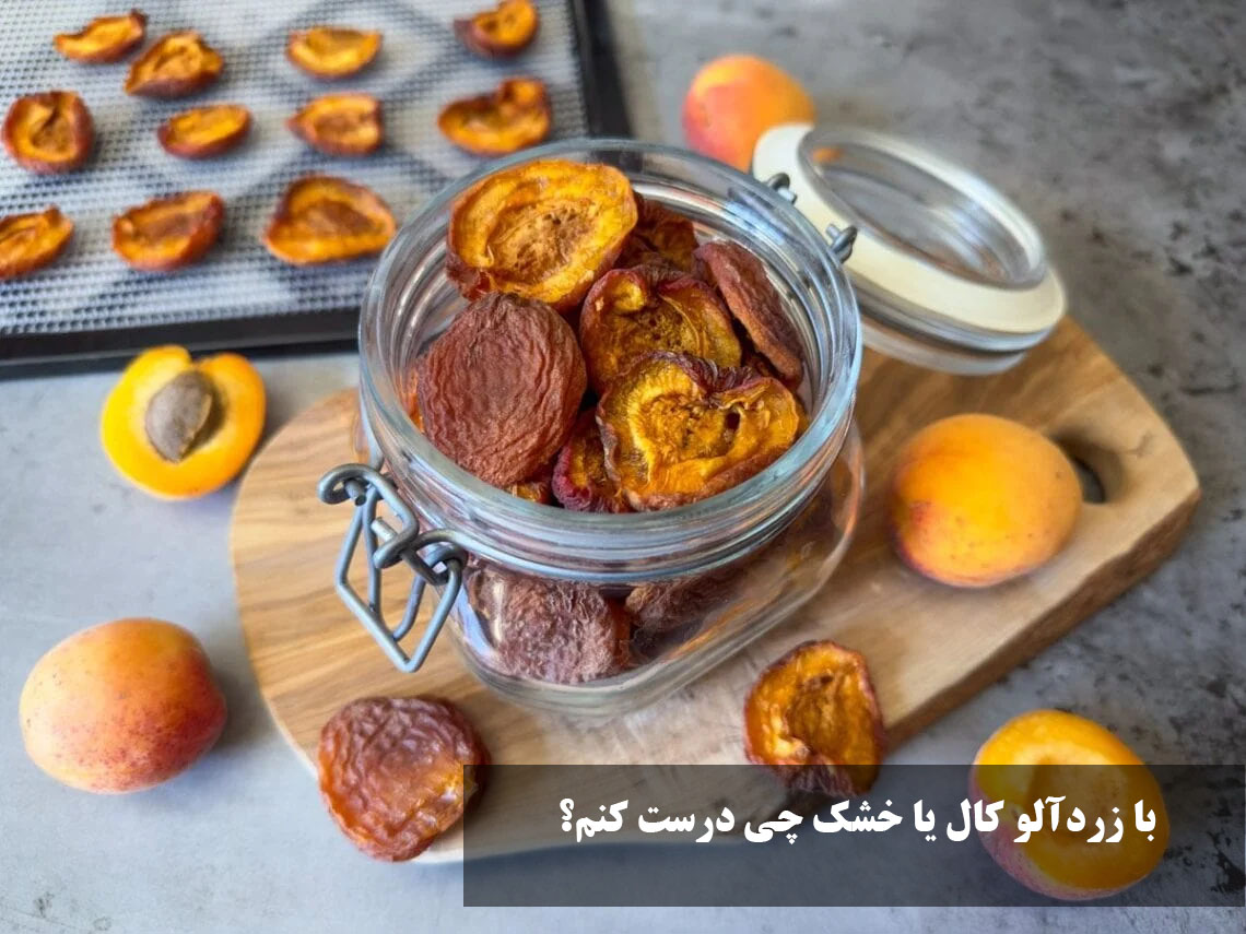 با زردآلو کال یا خشک چی درست کنم؟ 