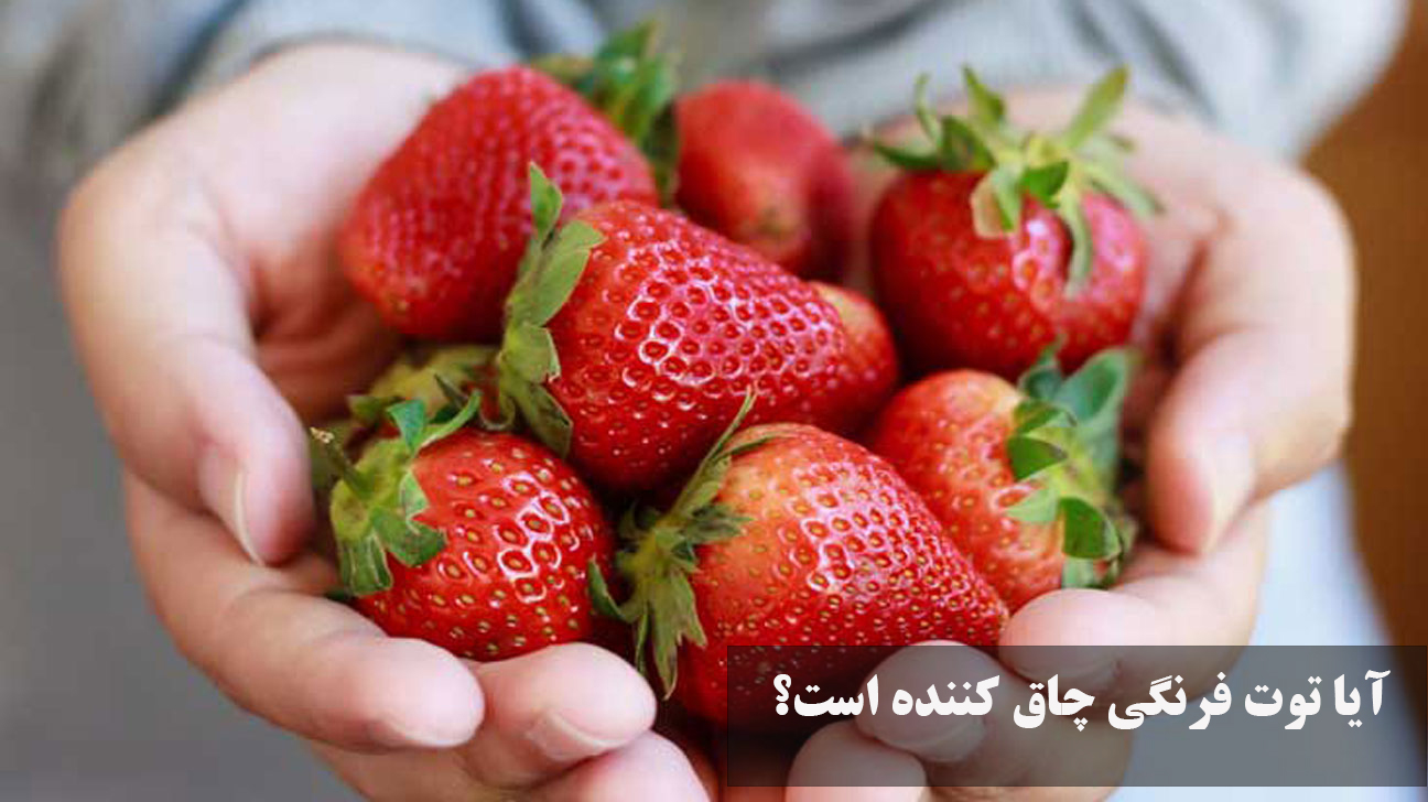 آیا توت فرنگی چاق کننده است؟