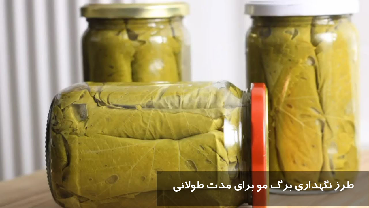 طرز نگهداری برگ مو برای مدت طولانی