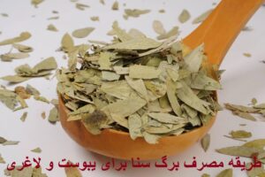 طریقه مصرف برگ سنا برای یبوست و لاغری