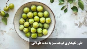 طرز نگهداری گوجه سبز به مدت طولانی