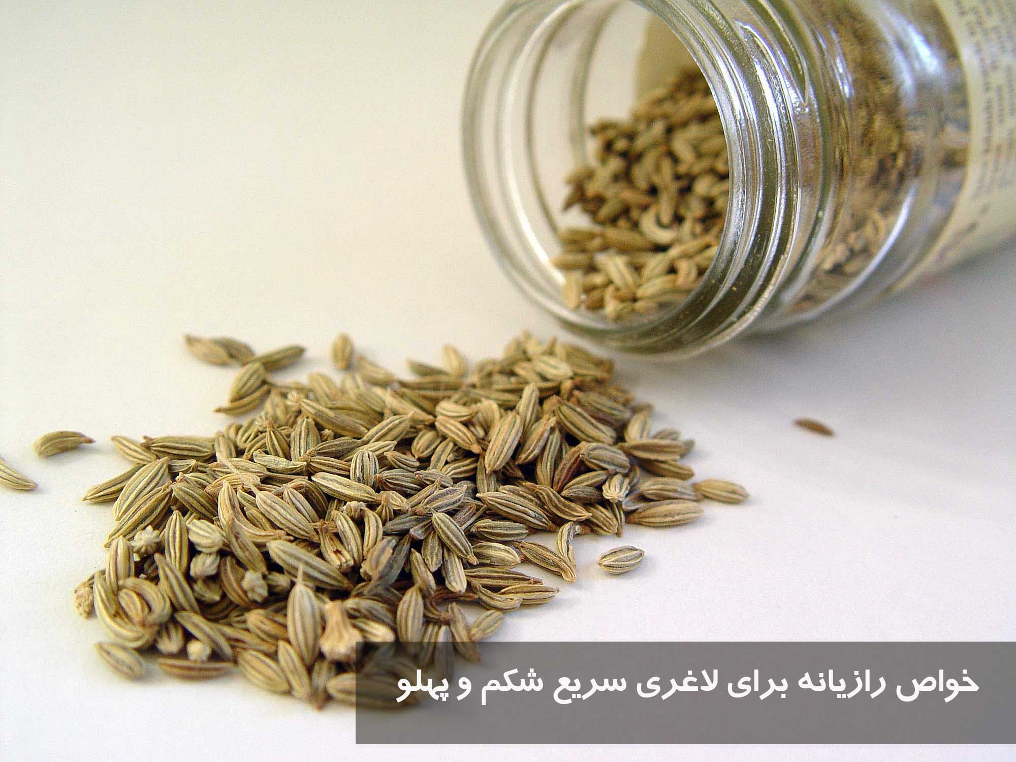 خواص رازیانه برای لاغری