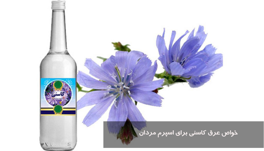 خواص عرق کاسنی برای اسپرم مردان