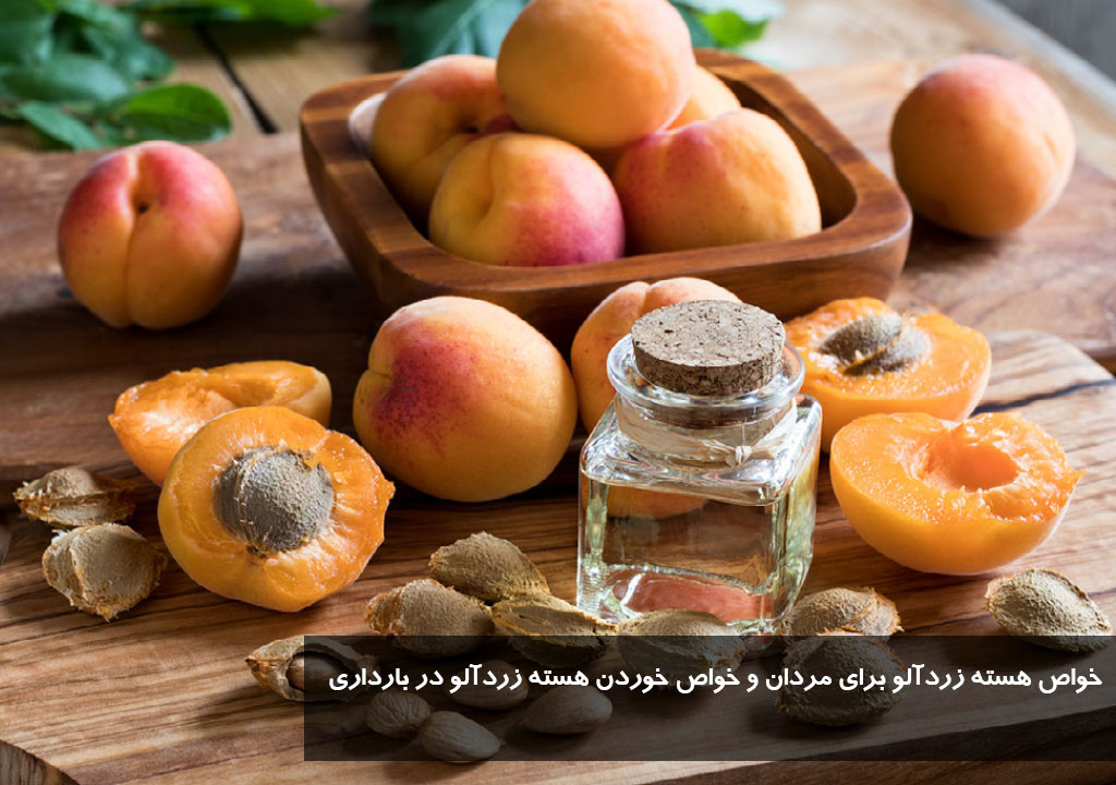 خواص هسته زردآلو