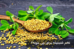 تخم شنبلیله برای چی خوبه؟