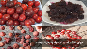 روش خشك كردن آلو سیاه و قرمز با پوست