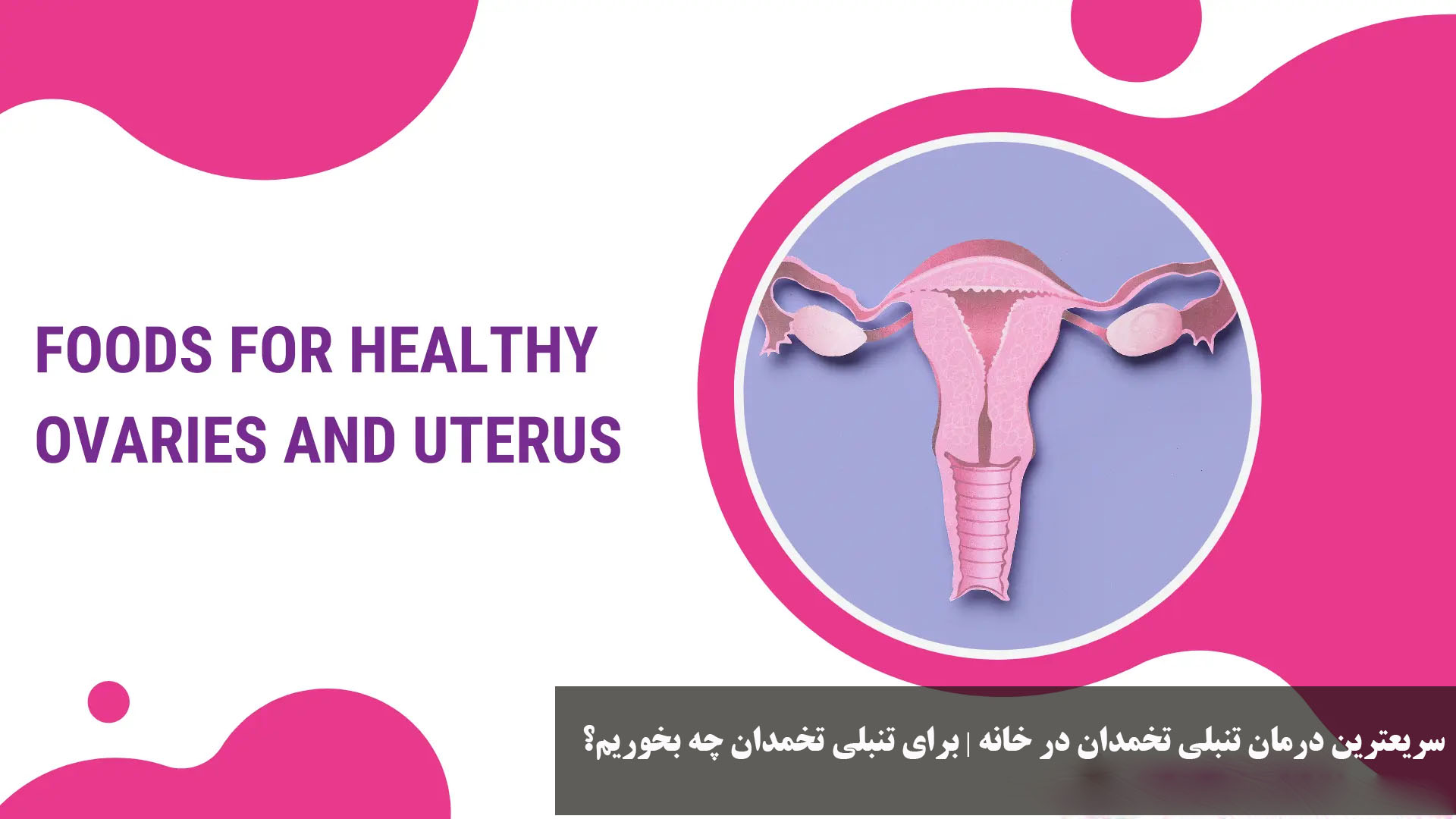 سریعترین درمان تنبلی تخمدان در خانه | برای تنبلی تخمدان چه بخوریم؟ 