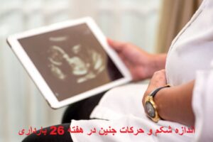 اندازه شکم و حرکات جنین در هفته 26 بارداری