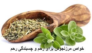 خواص مرزنجوش برای رحم و چسبندگی رحم