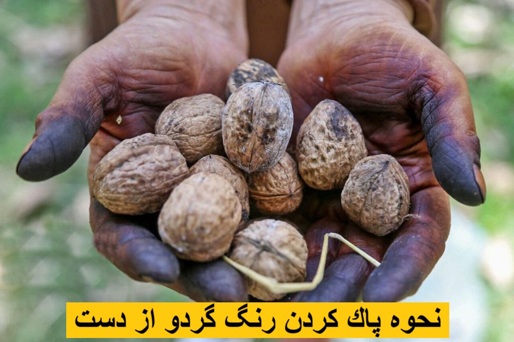 نحوه پاك كردن رنگ گردو از دست