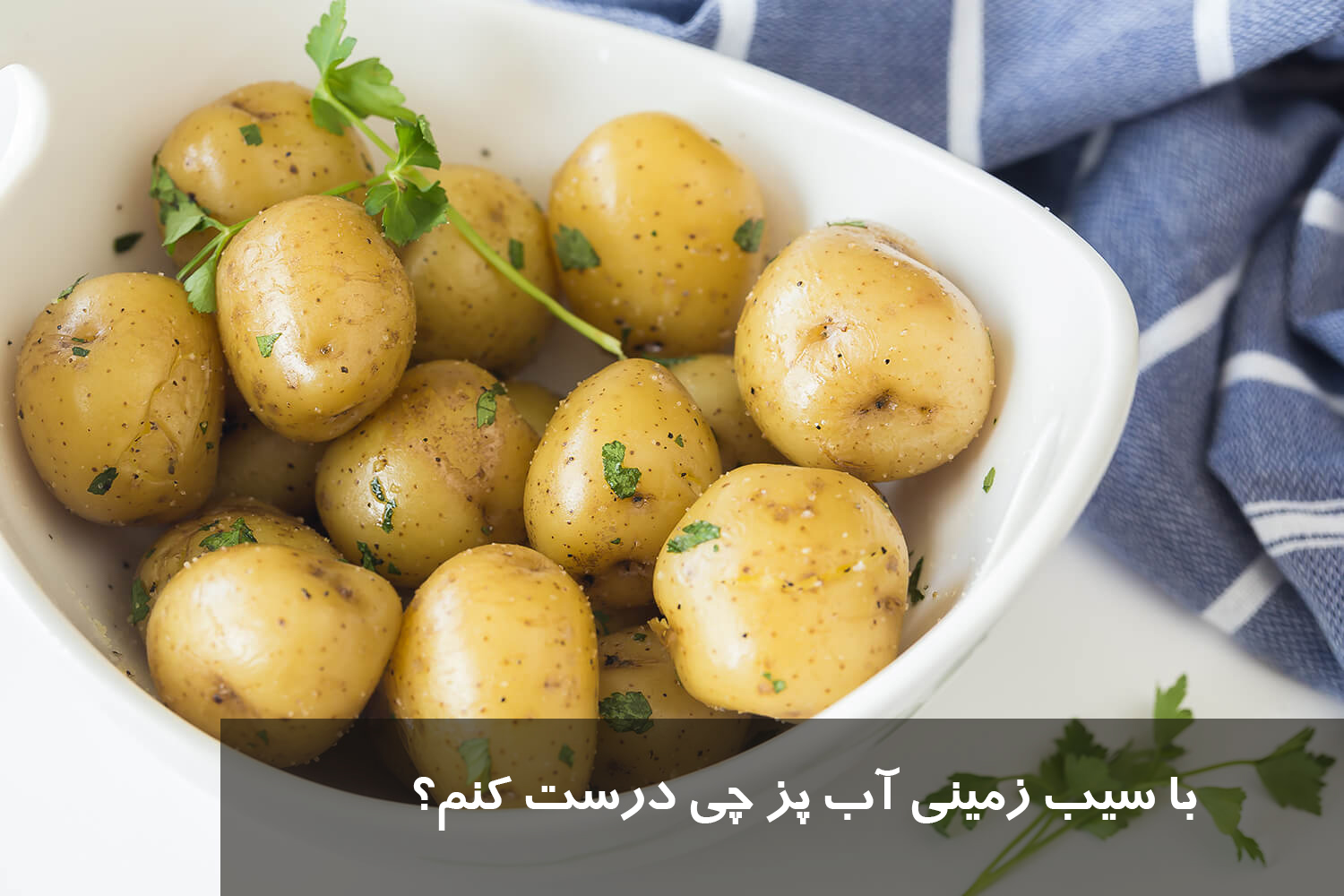 با سیب زمینی آب پز چی درست کنم؟