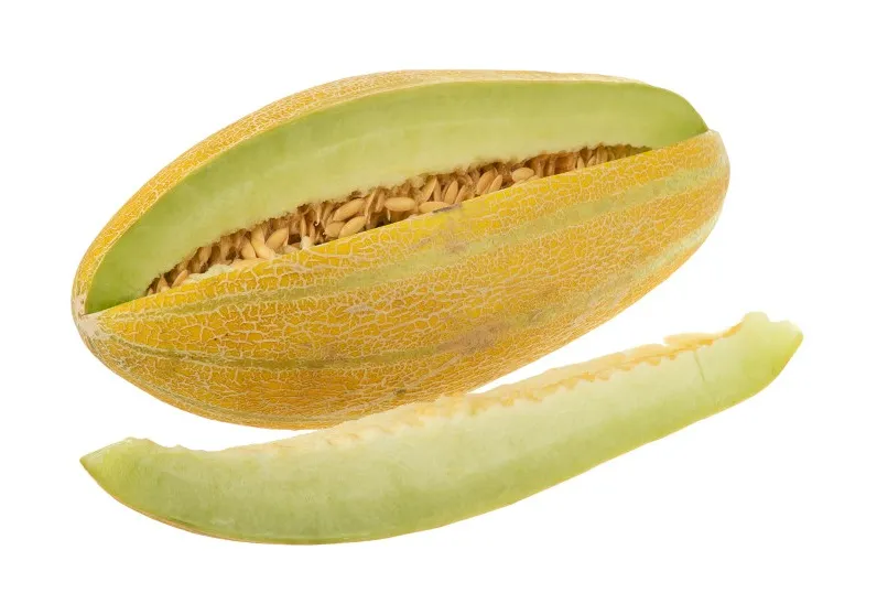 خواص تخم خربزه برای رحم