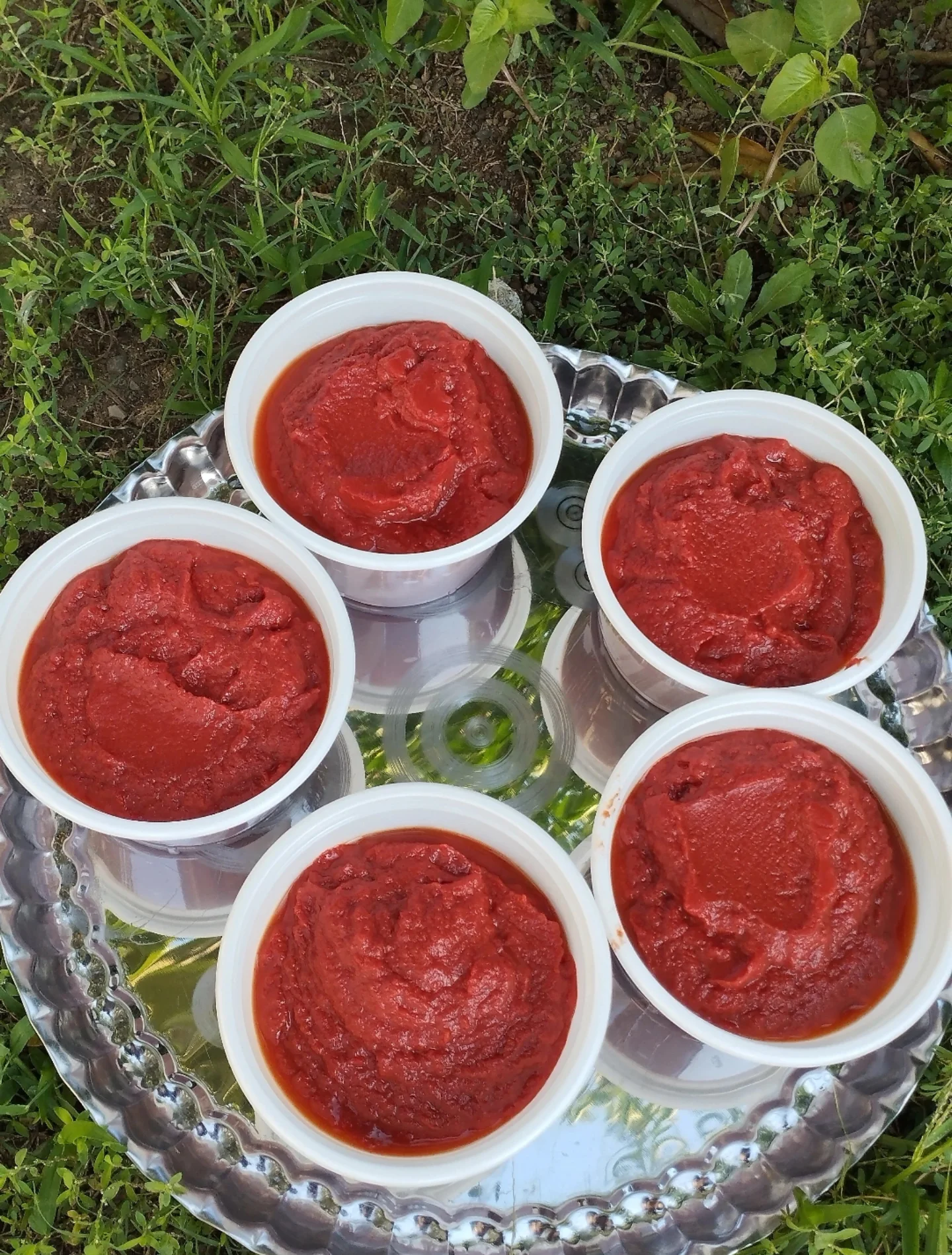 مقدار نمک رب خانگی