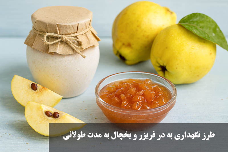 روش نگهداری میوه به مدت طولانی در یخچال